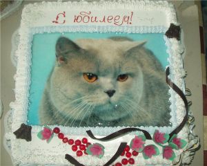 ������������� �������� ����� 